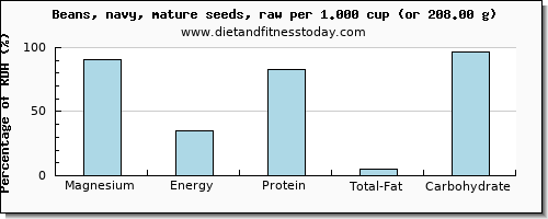 magnesium and nutritional content in navy beans